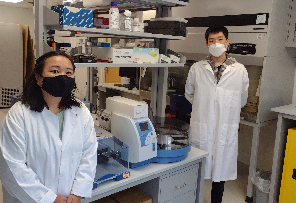 students working in the lab