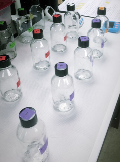 Bottle testing method for resistance