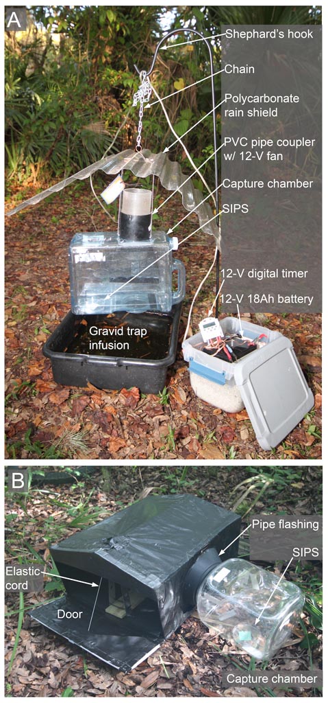 Figure 2 in jpg format