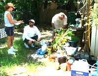 site survey, sampling containers for mosquito from backyard