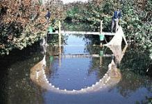 sampling using a pull net at impoundment