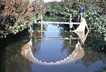 sampling using a pull net in a impoundment