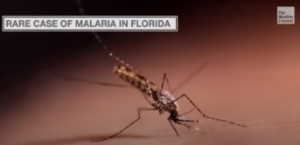 Rare case of malaria in FLorida