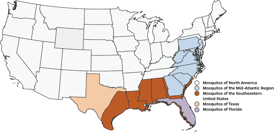 coverage-map--US-Invasive-MOSQUITO MORPHOLOGICAL IDENTIFICATION KEYS BY REGION Image Attribution- https://freevectormaps.com/united-states/US-EPS-01-1002?ref=atr