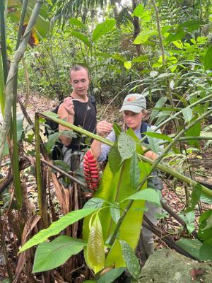 Field work sampling larva